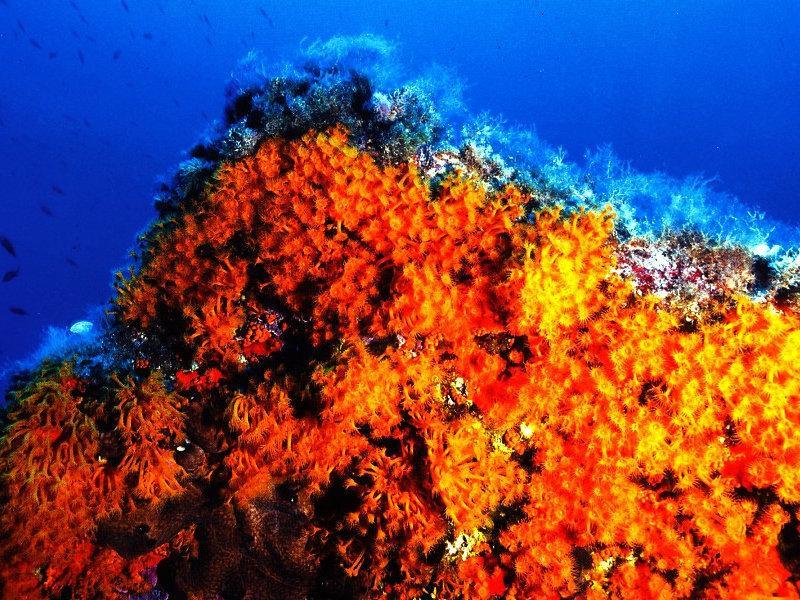 Residenza Bea Villa Flumini di Quartu Szoba fotó